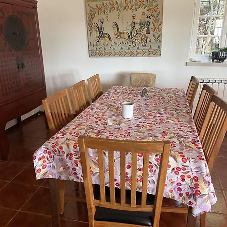 Fantastic House Swimmingpool Jacuzzi Horses Holiday home Alcobaca